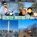 도깨비한식뷔페 | 발왕산 케이블카 발왕산 스카이워크 천년주목숲길 평창 가볼만한 곳