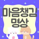 일상에서 실천하는 마음챙김 명상 | 정신건강 챙기는 마음챙김 명상·수면 루틴