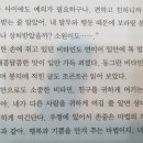 보라자판기 이미지