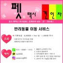 해운대 펫택시 이미지