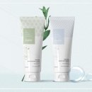 시아디자인 이미지