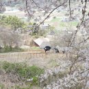 초록요양원 이미지