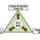 유미팜