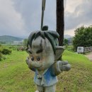 찬물내기 유원지 이미지