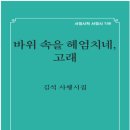 김석 시인 사행 시집 『바위 속을 헤엄치네, 고래 』 이미지