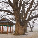 석창축산 네이버블로그