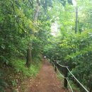 스테이오름 민박 이미지