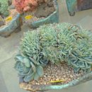 상학농장 이미지