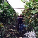 한배미농장 이미지