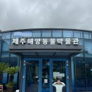 벵디1967 | 아이와 제주여행 | 3일차 제주해양동물박물관, 음식이탐나, 킨조베이커리, 비자림, 평대식당, 벵디1967