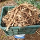 황정농장 이미지