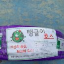 보라목장 네이버블로그