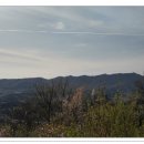 성사초등학교 이미지