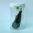 웅담농장 이미지