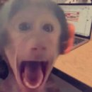 유카센타 | 개강전 마지막 발악 마쓰야마 3박 4일여행(1일차)