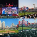 삼성2-115 | 8/29(금) 롯데VS두산 사직구장 직관 후기 (1루 내야필드 115블럭) - 선수들 구경, 결국 졌다😭
