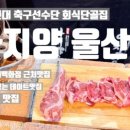 야옹야옹 캣카페 이미지