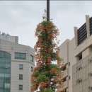 산본로 티스토리