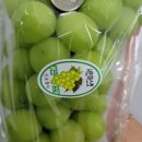 뚱보푸드 이미지