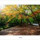고창 여행(23편) 16.11.5~6
