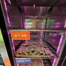 부산금정흑염소