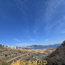 골드리치공인중개사사무소 | 여수 소호동 소제지구 공영개발