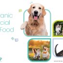 (주)오에스피 이미지