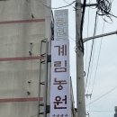 삼계1길 | 🍲 계림농원 방문기: 따뜻한 삼계백반 한 끼의 행복