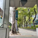 애림미용실 | 리파이너리/도곡동 미용실 애림 디자이너님에게 머리하고 온 후기