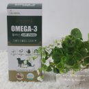 아이엔지 소프트 이미지