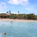 와이키키 이미지