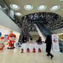 진앤컴퍼니 이미지