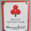 차씨화덕 이미지