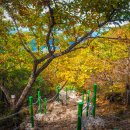 금오산_숲길(등산)2코스 이미지