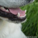연세검단치과의원