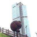 옴싹 네이버블로그