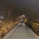 라우즈(ROUSE) 이미지