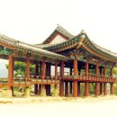 528 이미지