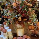 허브약국 | ​✨ 피렌체의 시간을 담은 곳: 산타 마리아 노벨라 약국 방문 후기