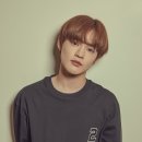 피키픽쳐스 이미지
