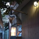 뻥쟁이네 이미지