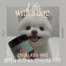 덴트플러스 | 성분 좋은 강아지 치약 추천 | 블랙쉽오가닉스 :: 내돈내산 솔직후기