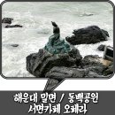 부산 2박3일 마지막! 해운대 3대서가밀면, 동백공원 / 서면카페 오페라