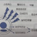 서현새봄약국 이미지