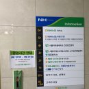 강서농협 하나로마트 마곡점 - 다녀온 후기!