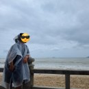 냐짱(나트랑) 여행 후기. 토스 카드, 호텔, 식당 등등