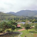 옥천동이로 이미지