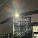 고척돔 데이식스 연말 콘서트 후기 | 1층 101구역 시야 음향