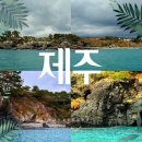 그랑블루 | 제주 서귀포 요트투어 인생코스 그랑블루 후기