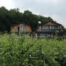 배로농장 이미지